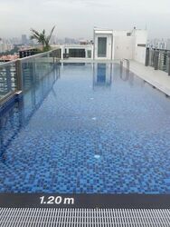 Esta Ruby (D14), Apartment #460830251